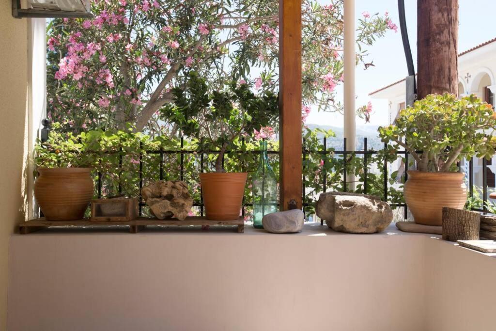 Kostas' House Argostoli Villa Eksteriør billede